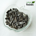 New Crop Sunflower Seeds Type 5009 Market Price In China